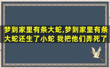 梦到家里有条大蛇,梦到家里有条大蛇还生了小蛇 我把他们弄死了